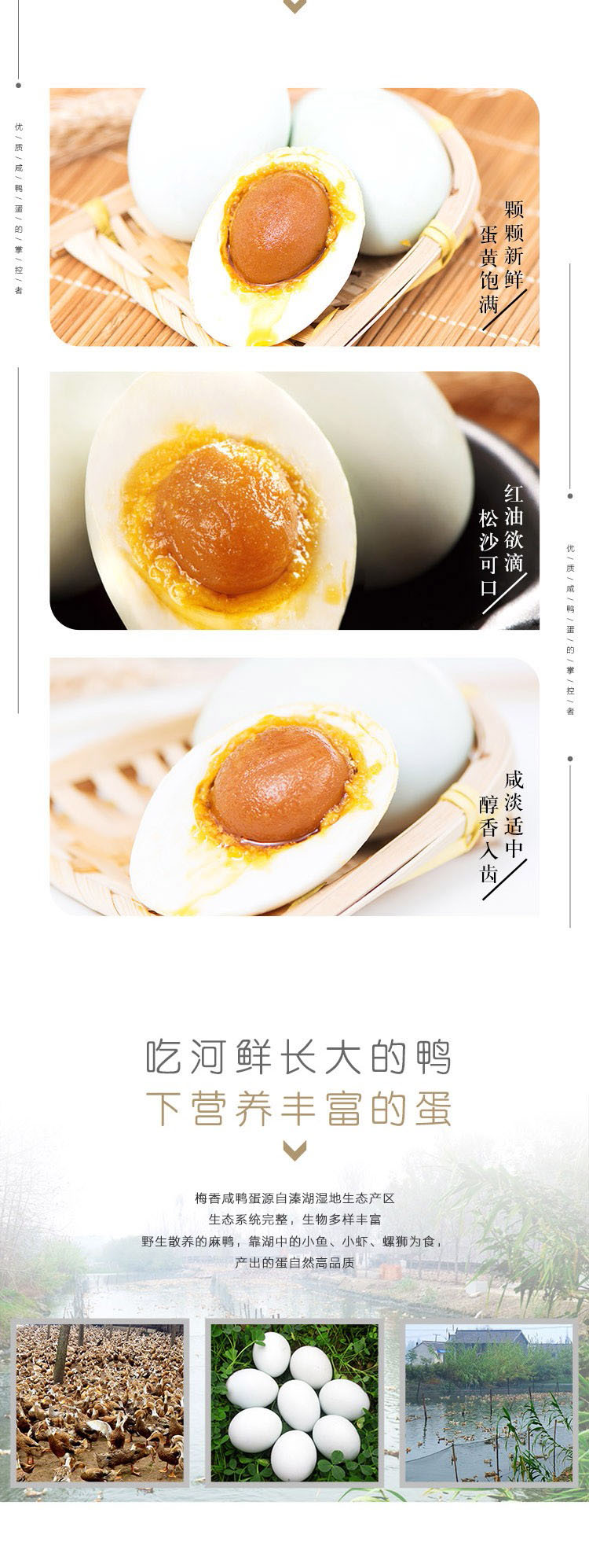 梅香食品 梅香食品